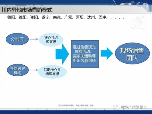 成都藍(lán)光地產(chǎn)觀嶺國際營銷方案報告